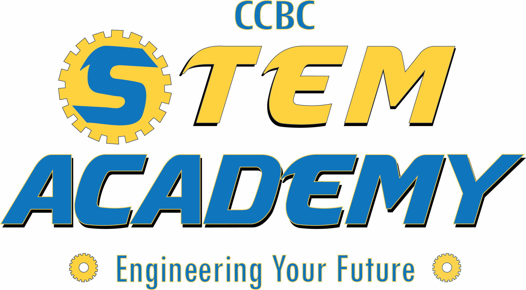 STEM Academy for High School Students | CCBC